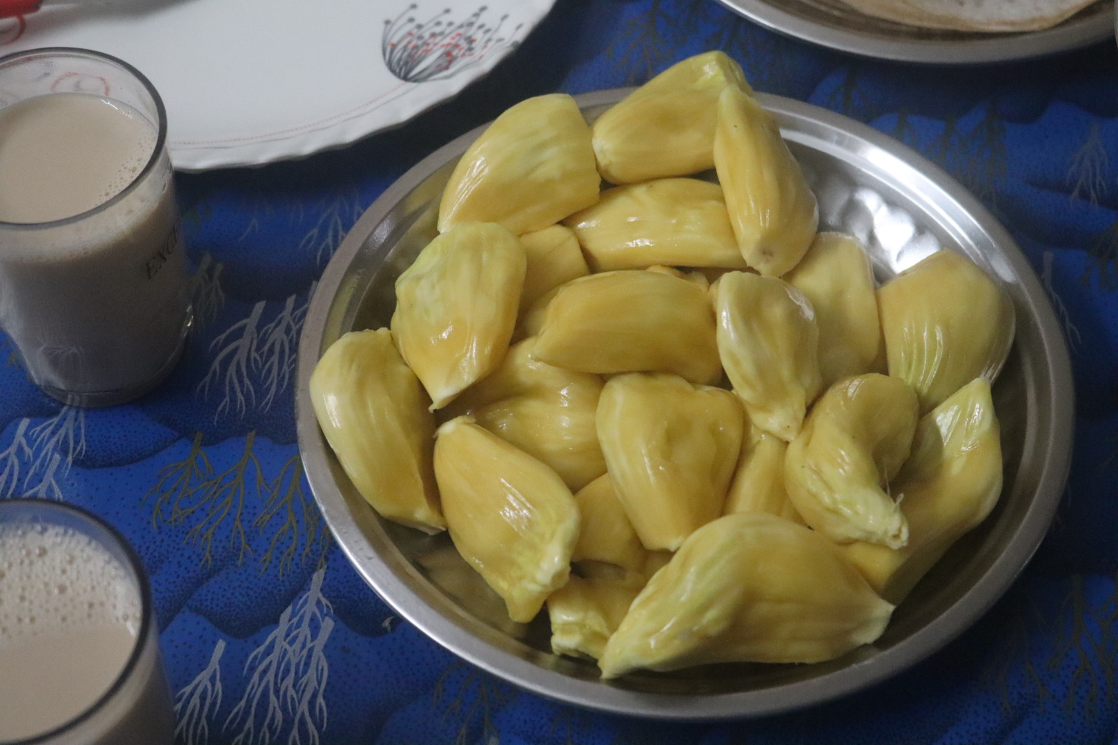 Jackfruit 01-2-23