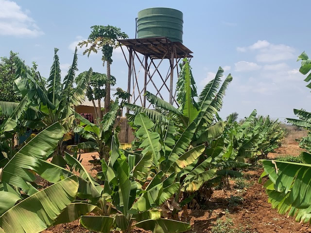 Nanga School garden