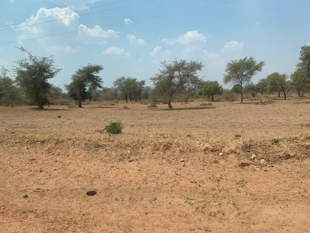Dry arid countryside to Florida's home