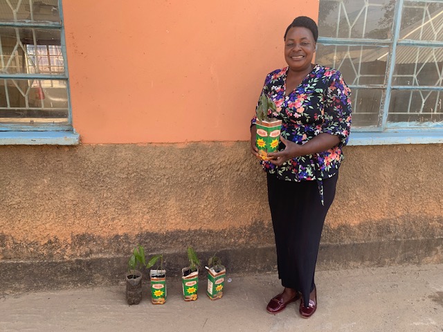 Nalukena (HHZ) provided Mango saplings