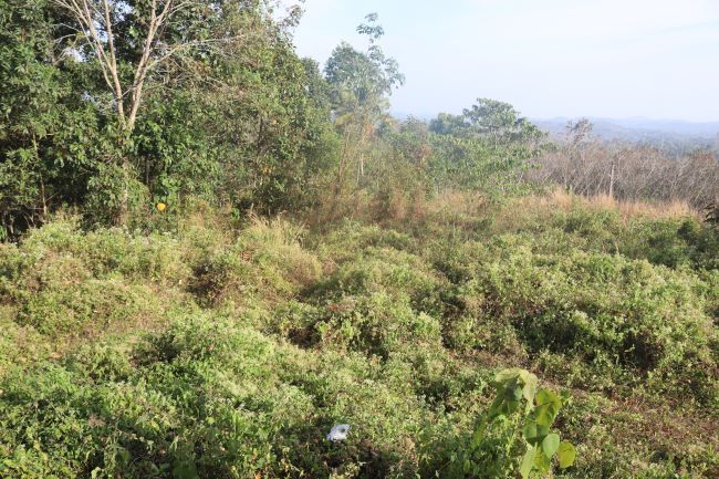Happy Valley prospective site